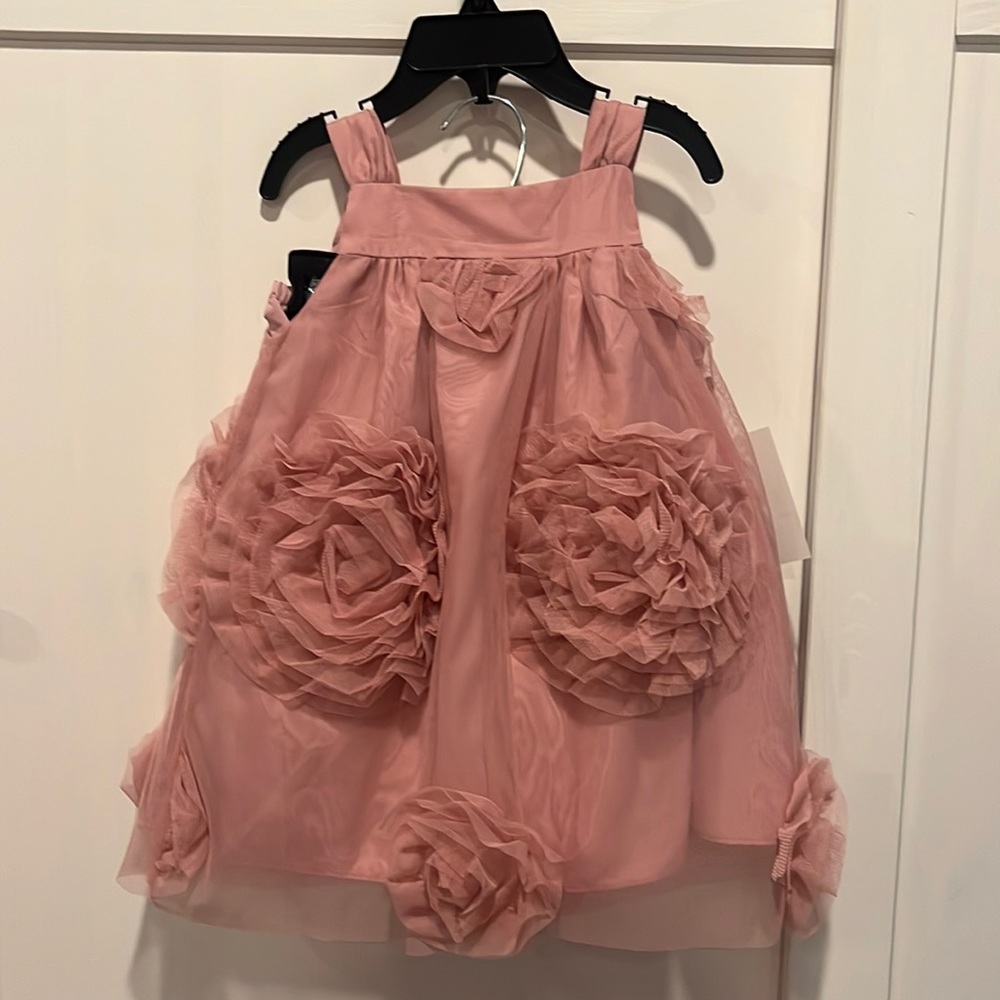 Beautiful rose dress 12 month